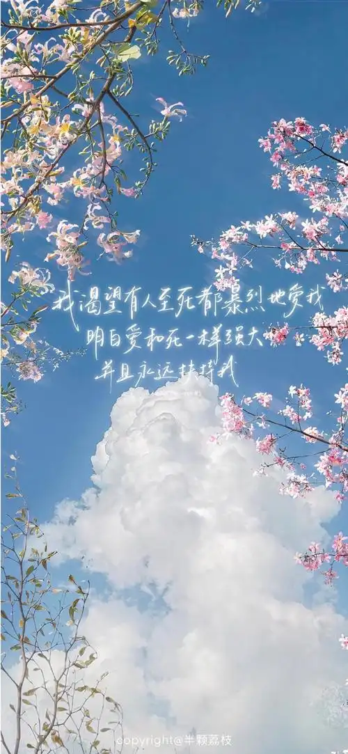 文艺浪漫的手写文字壁纸