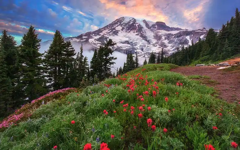 绿色唯美护眼风景图片电脑壁纸
