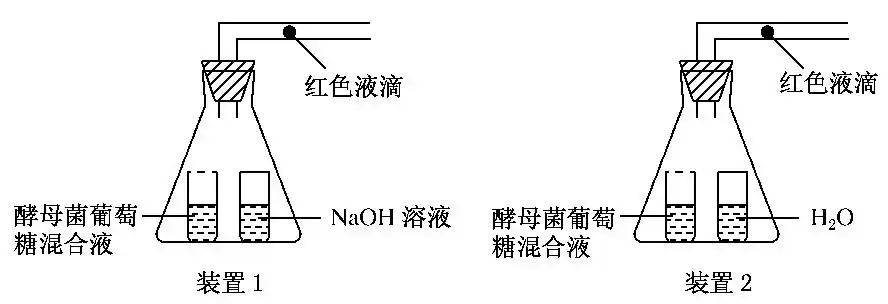 若装置1中的红色液滴向左移,移动距离可表明酵母菌有氧呼吸所消耗的