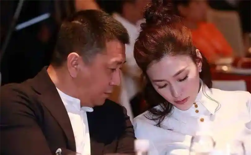 原创李小冉爱情前男友雇13人砍现男友最终花落5亿身家男闺蜜