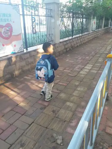 小种子上学记之背影