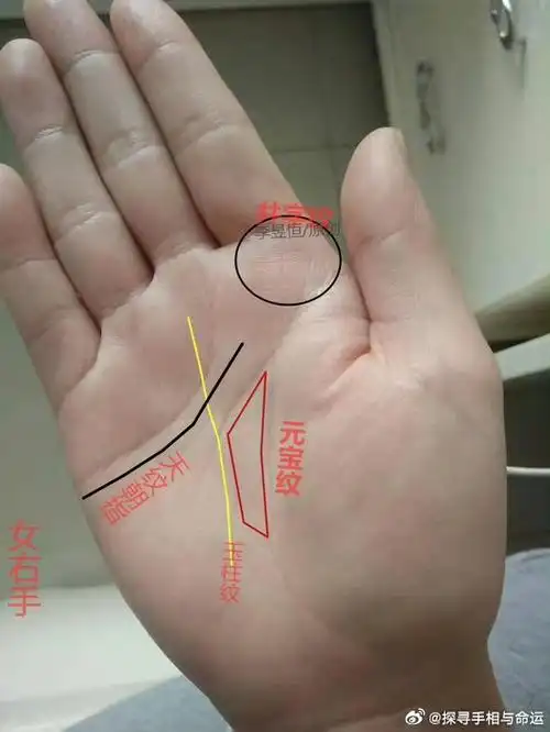 天纹朝指事业稳,人纹双重才艺多的手相