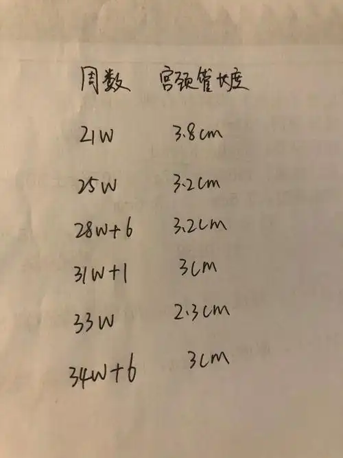 双胎孕期宫颈管长度没人比我查得勤吧
