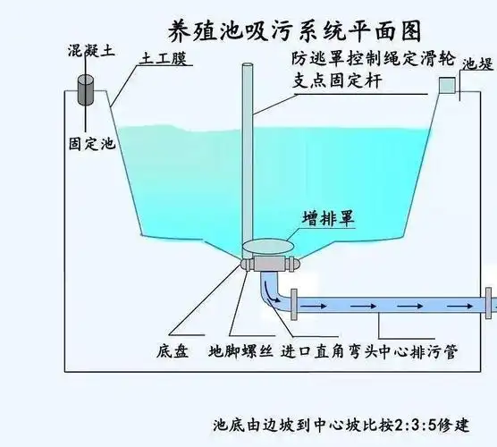 养殖成功的基础实际经验分享对虾高位池的建造关键点