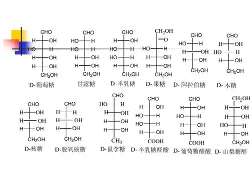 第三章 糖类化合物ppt