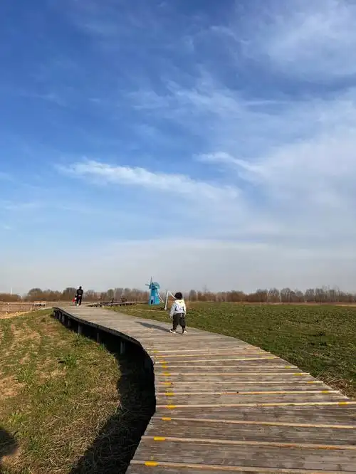 陈桥东湖湿地公园