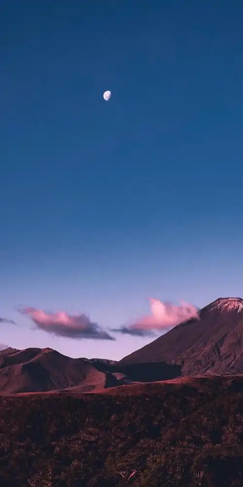 手机壁纸《第十一期》高清无水印