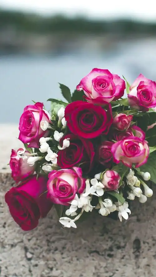 花开手机屏幕锁屏壁纸