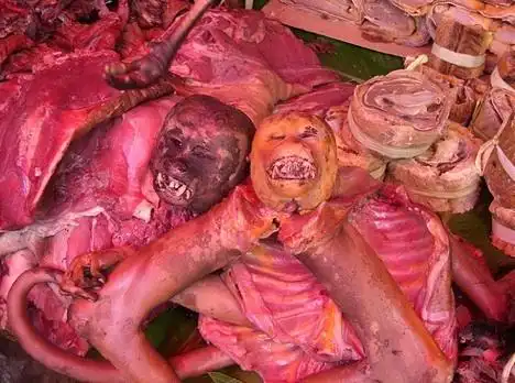 最恶心的大餐:让你吐着迈向2009(组图)