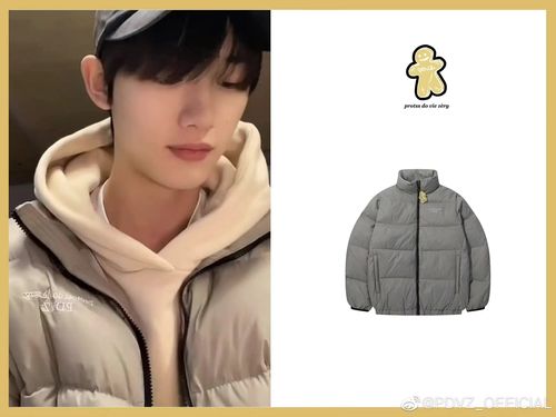 短促【丁程鑫同款】pdvz冬季正品羽绒服立领拉链纯色简单基础情侣