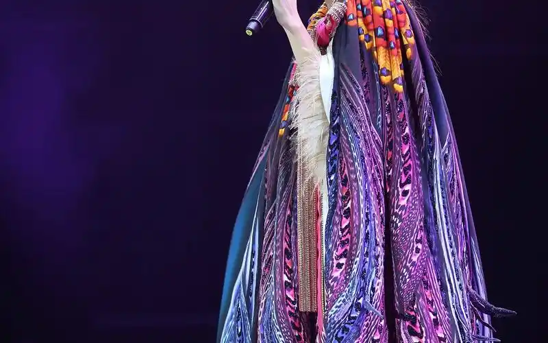 邓丽欣stephy演唱会(饭拍)