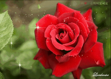 400_285gif 动态图 动图