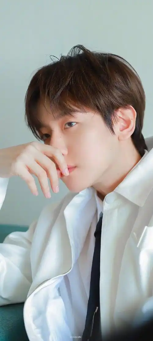 边伯贤费加罗封面##边伯贤