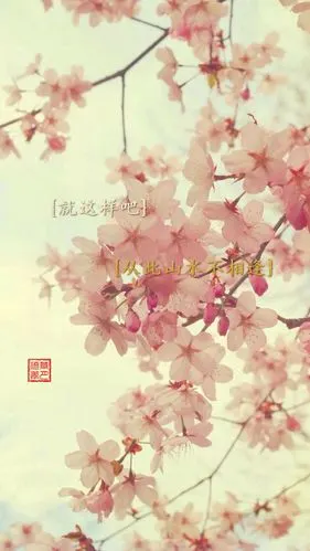 就这样吧,从此山水不相逢