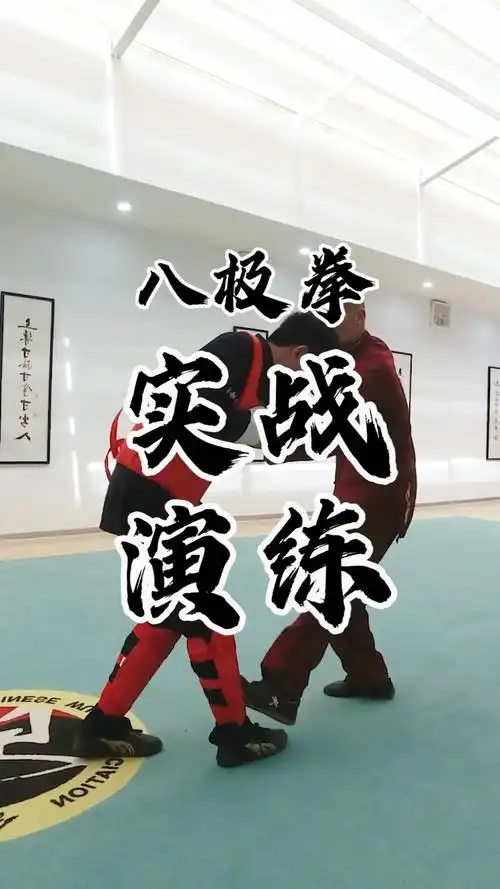 中华武术#八极拳招式动作展示