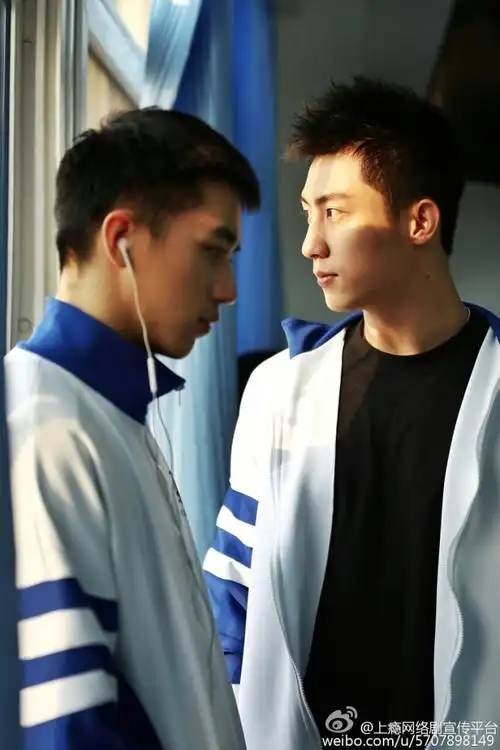 上瘾网络剧顾海白洛因