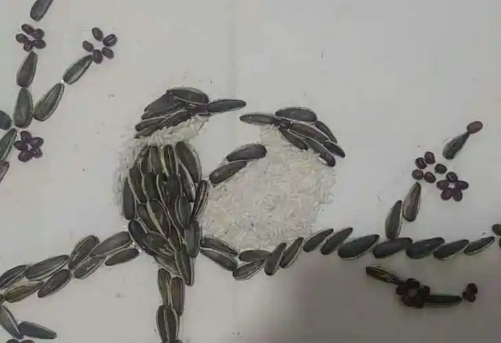 用瓜子粘贴的鸟儿,是不是特别新颖!