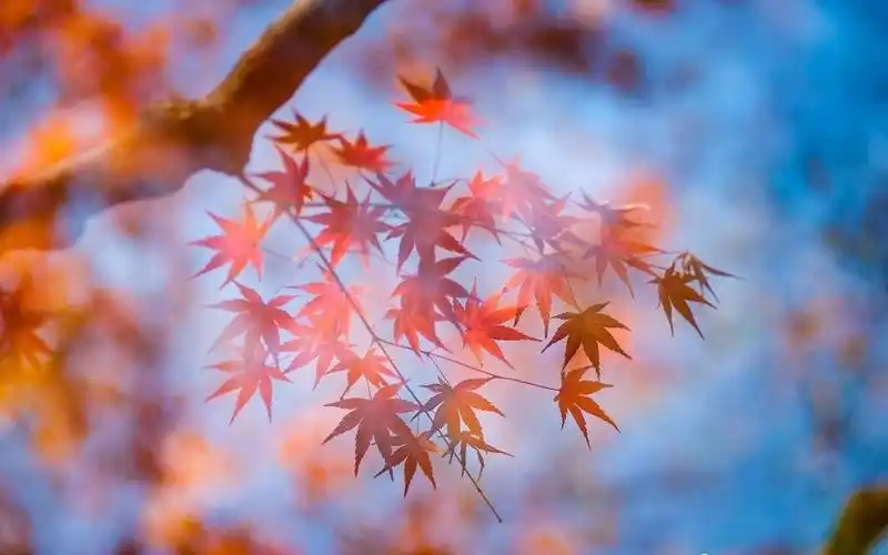 摄影中常用的10种对比构图使照片主题更鲜明更吸引人