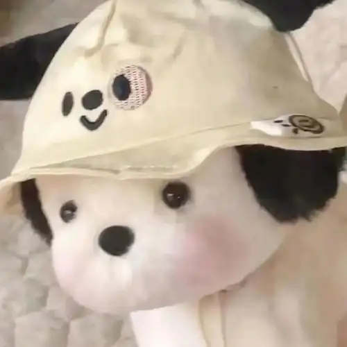 热门头像 | 今日份可爱又沙雕的头像~ - 知乎