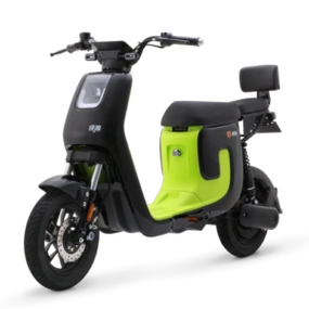 绿源绿源电动车48v24a新国标电动自行车锂电通勤代步车 液冷电机 k5