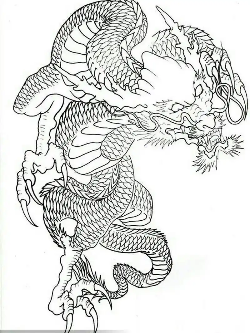 龙纹身.过肩龙纹身手稿 半胛