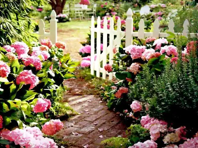 老妖家的后花园