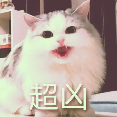 【我在行走的路途中,寻找你】凶凶猫表情包