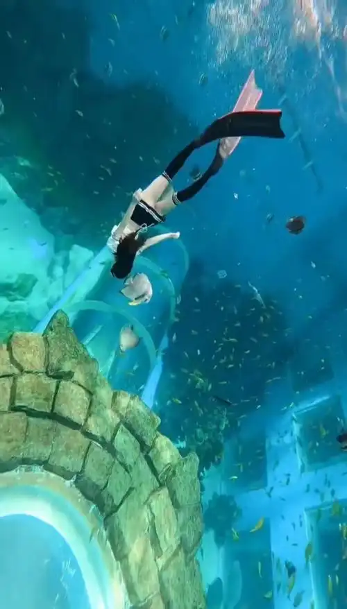 小姐姐#潜水#美女