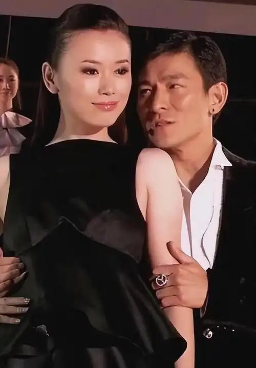 回顾瞒不住了刘德华和赖文慧真实关系原来除了结婚证啥都给了