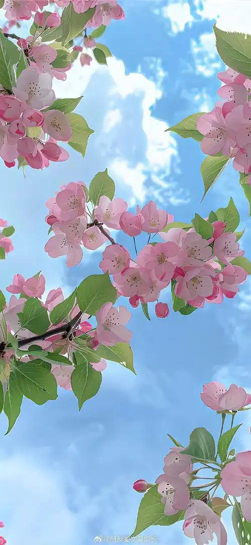 朋友圈文案##文案##壁纸##手机壁纸##无水印壁纸##高清壁纸##堪爱