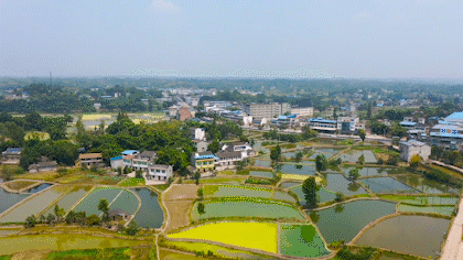 重庆潼南这个"中国最美乡村"镇,它的鱼纳入非遗美食,驰名中外