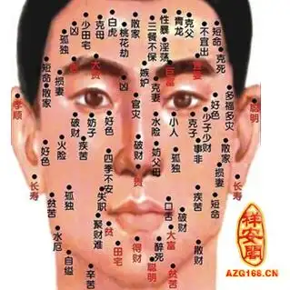 面相痣图解男