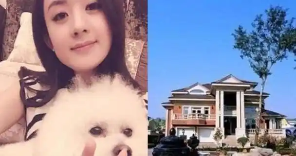 赵丽颖北京豪宅内景曝光!极度奢华!网友:一年工资买一块砖!