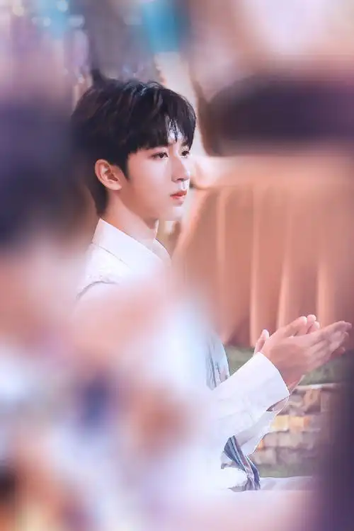 贺峻霖北影节内场侧颜照