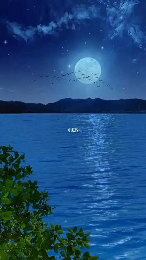 动态壁纸  #治愈系  #十五的月亮十六圆  #艾特你想艾特的人