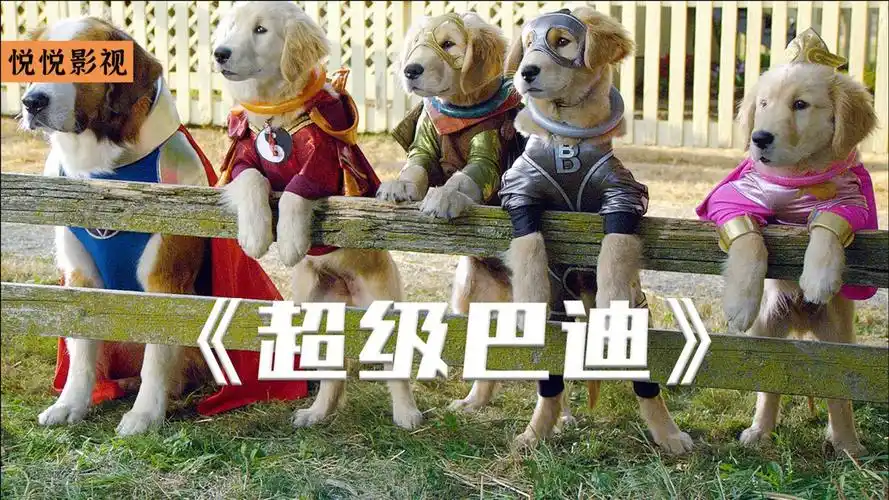 科幻电影超狗巴迪五只小金毛意外获得超能力