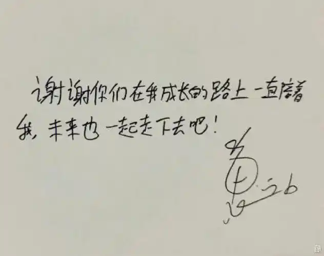 王琳凯的那些手写