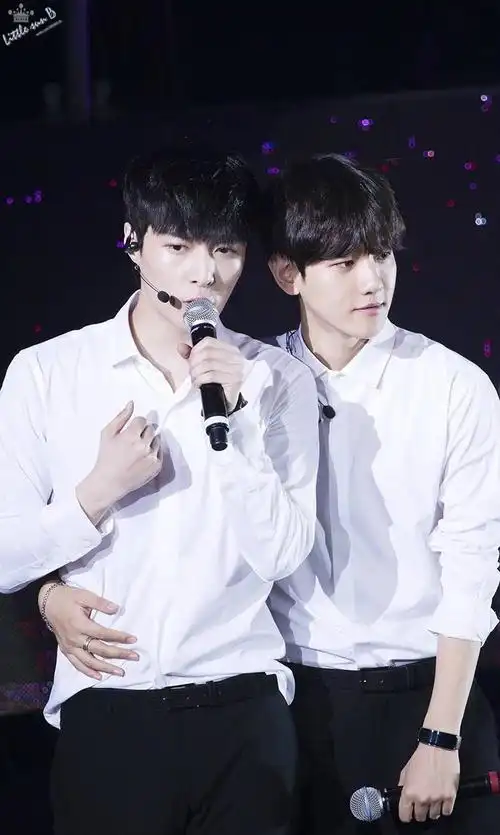 exo张艺兴 边伯贤高清壁纸