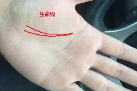 双条生命线的女人好吗