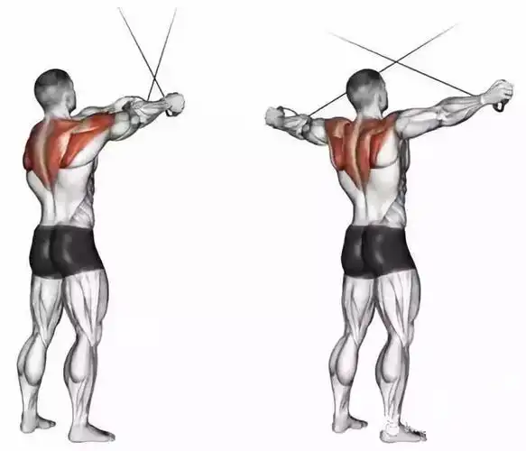 史上最全练背指南