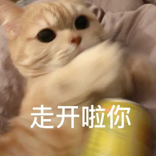 可爱 表情包 cr橘猫沙梨sally 侵删