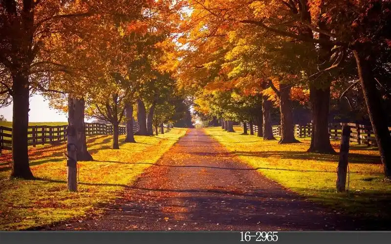 订制yy主播背景布抖音网红直播间男女主播背景3d主播背景布快手