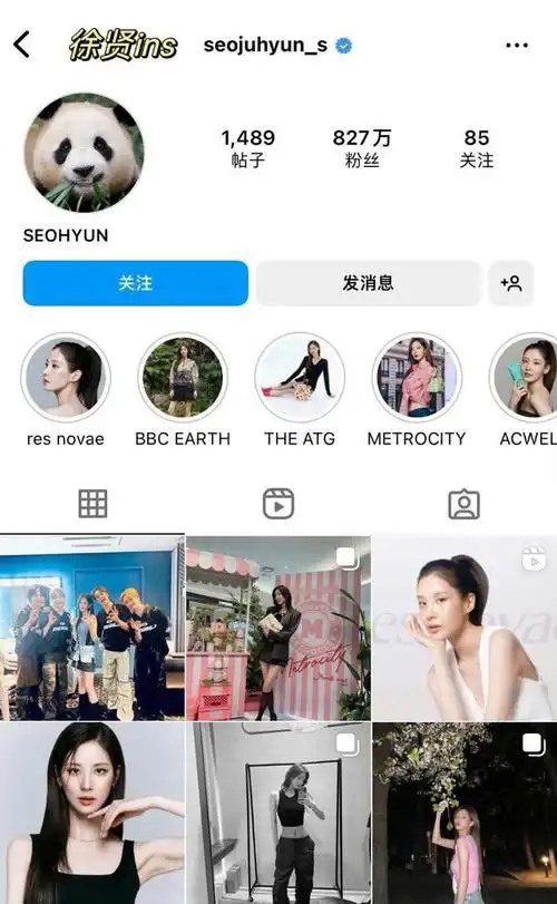 福宝回中国被虐待?少女时代徐贤点赞请愿帖文,网友破防集体讨伐