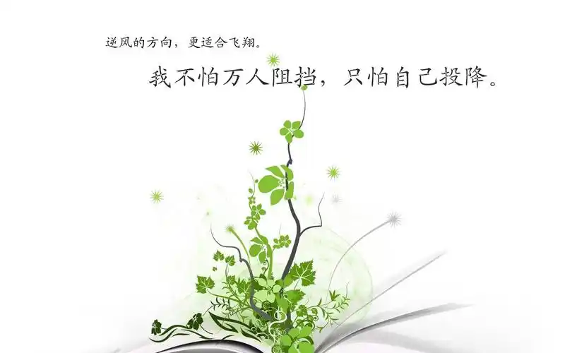 个性简约奋斗文字,高清图片,电脑桌面-壁纸族