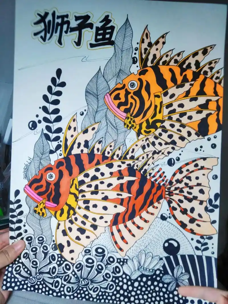 第十七篇:《狮子鱼》适合9～15岁的小朋友.线描画多临摹就会 - 抖音