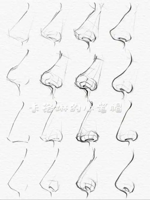 鼻子全侧面画法亲绘步骤图