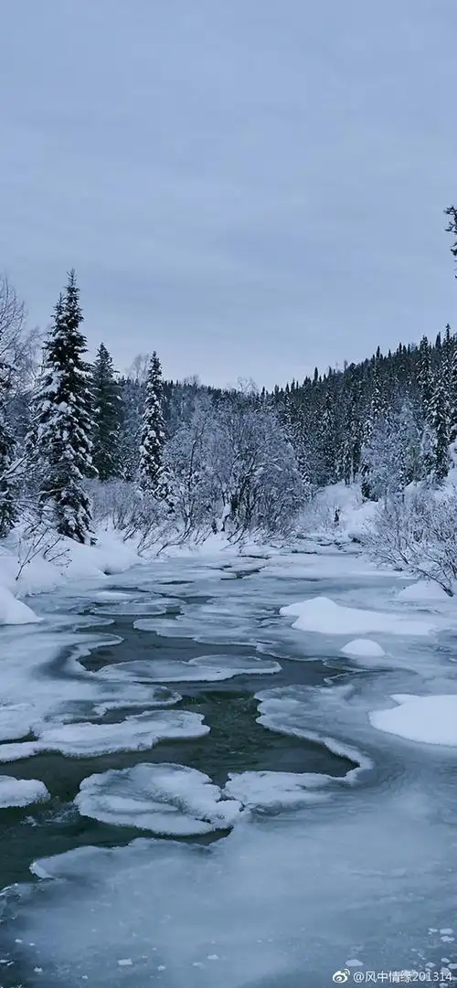 小雪到了 冬季雪景