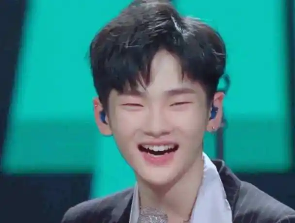 是所有的猫都很温顺,被猫抓不能还手,真是"南"上难_评论_何洛洛_因为