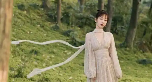 杨紫_造型_网友