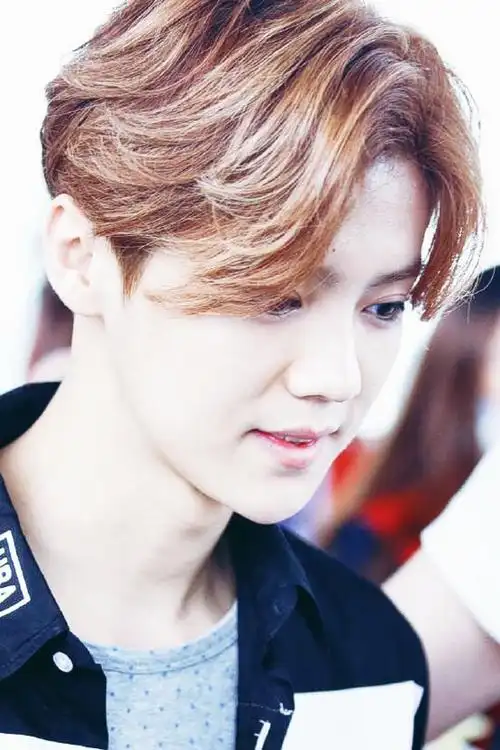 中分是最爱没有之一luhan 鹿晗